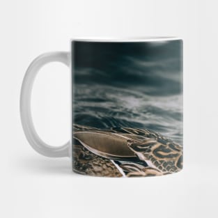 Female Mallard Duck, Embraces the Freezing Water Photograph Mug